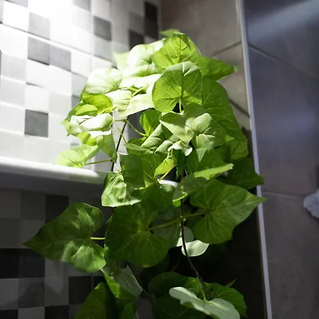 Skg Welcome Apartament